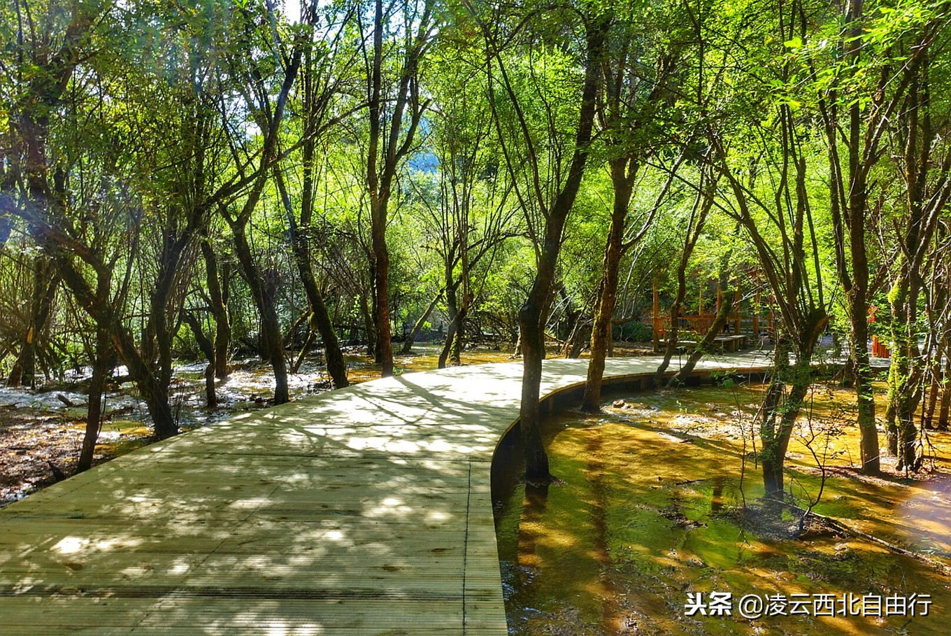 黄龙为什么被誉为中国好声音,黄龙十大风景区