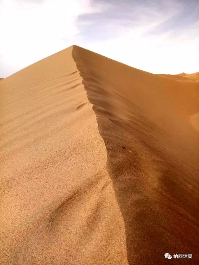 叶紫被雷劈穿越到异界,关于叶紫的穿越小说