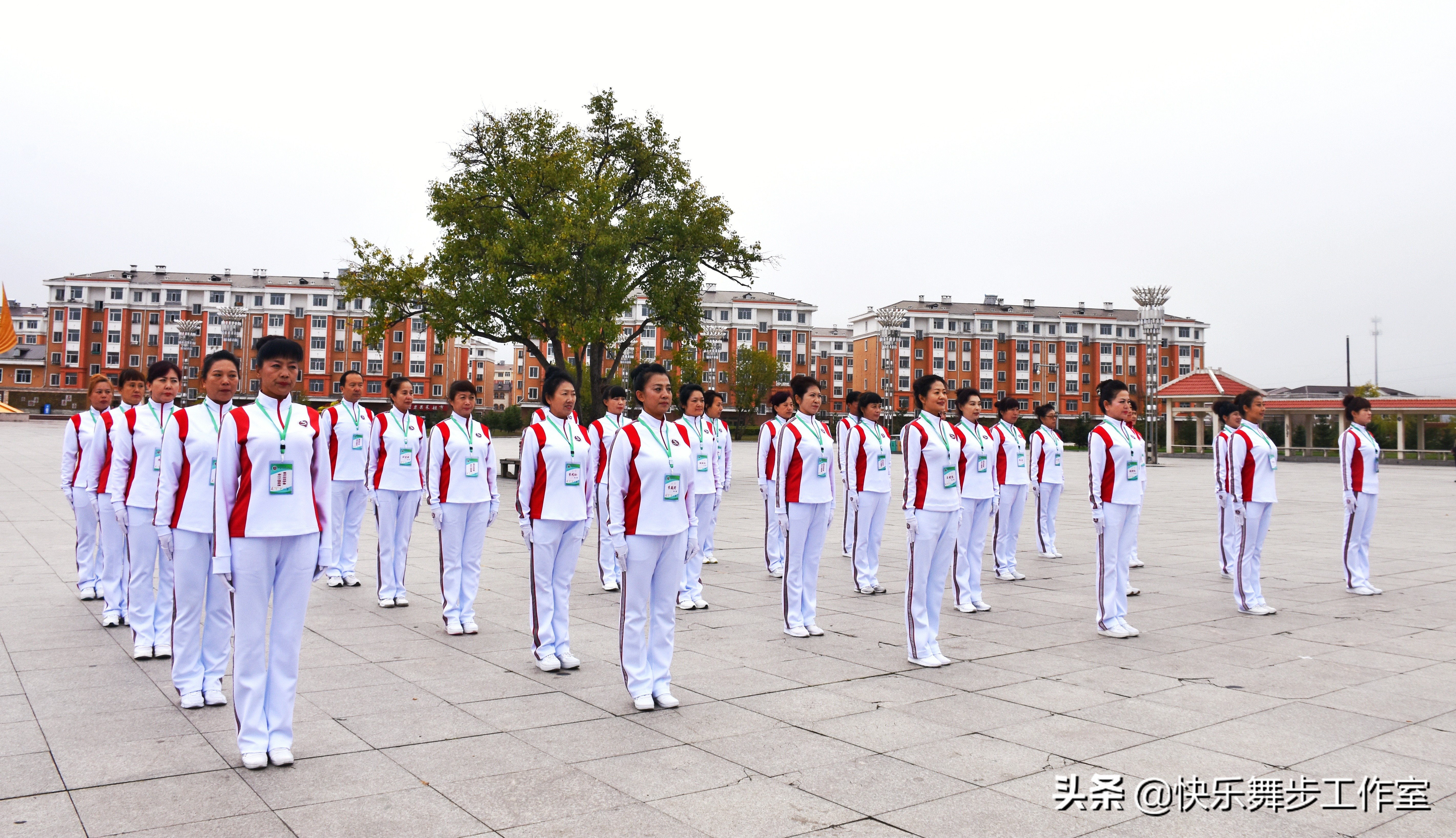 中老年快乐健身舞步,佳木斯中老年人健身操绿旋风
