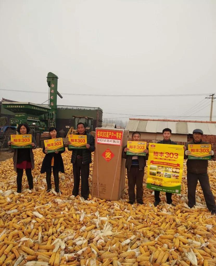 龙头大单品裕丰303的制胜之路,从优秀到卓越的路径图