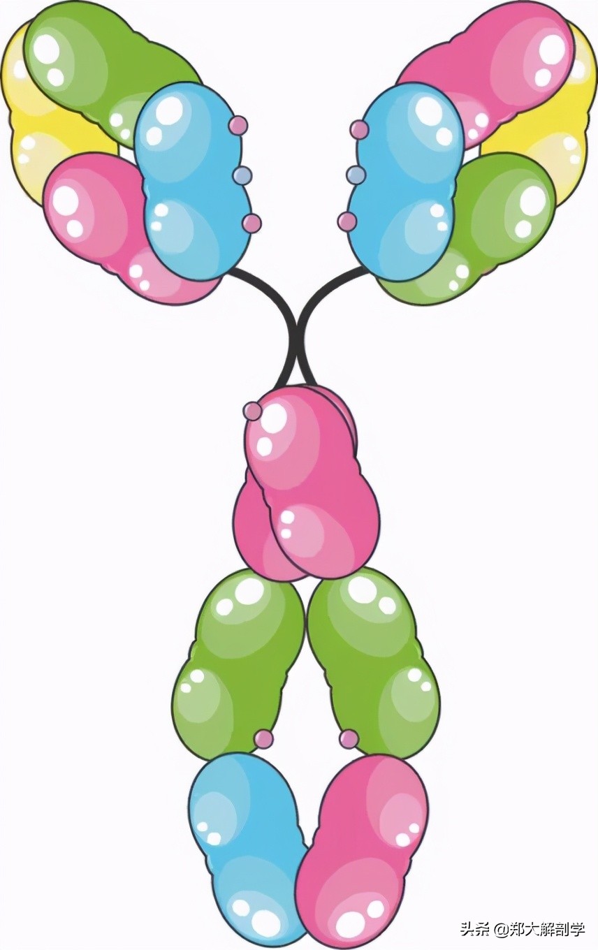 过敏性鼻炎咳嗽,过敏性鼻炎吃什么药