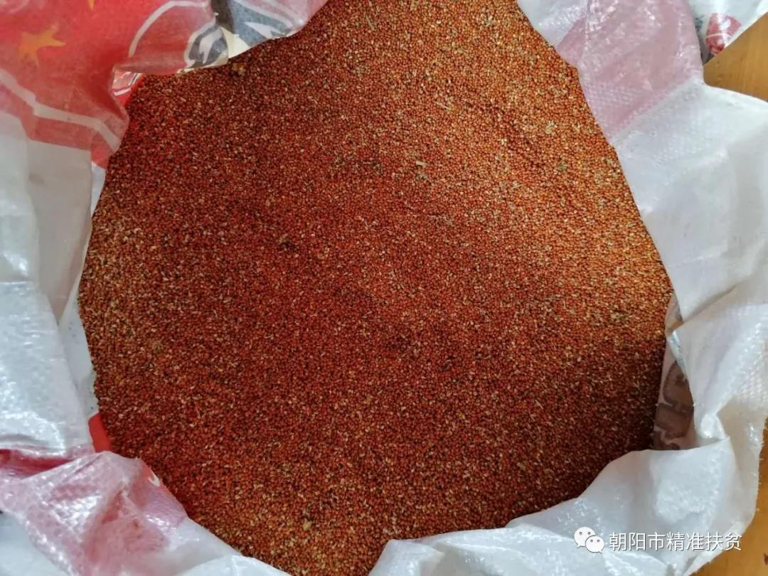 辽宁朝阳扶贫,用真情传递爱心用行动助力扶贫