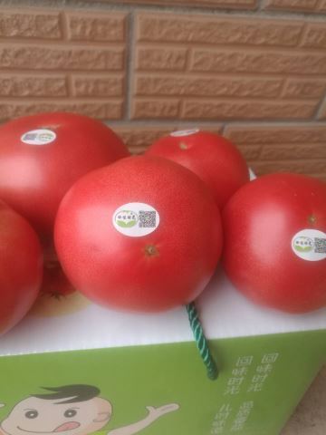 让番茄更快出汁水,让人回味无穷的人