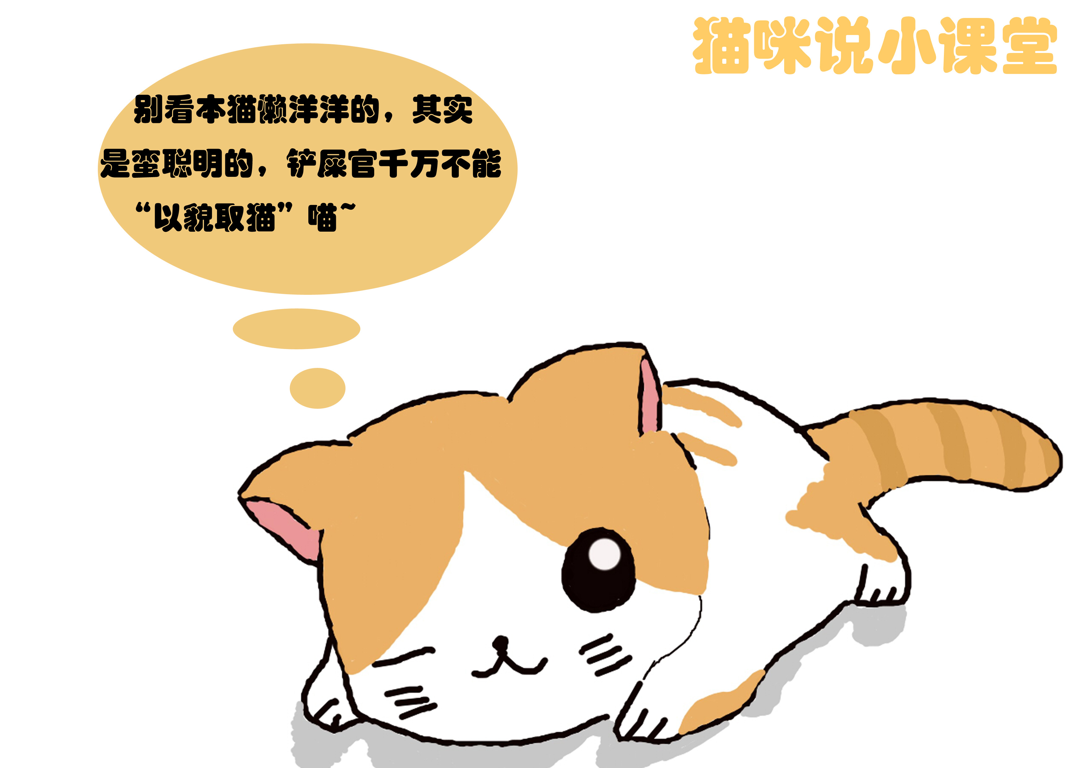 聪明小猫的特点,聪明小猫的智力有多高