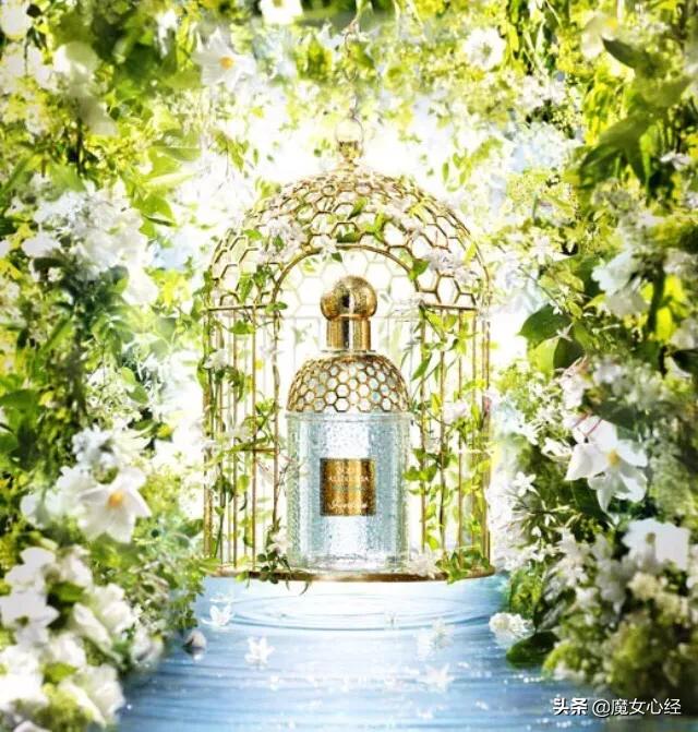 最适合夏天用的10款香水,喜欢清新的香水要哪种