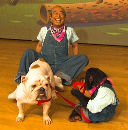 球王马拉多纳逝世经典回顾,球王马拉多纳上帝之手重放