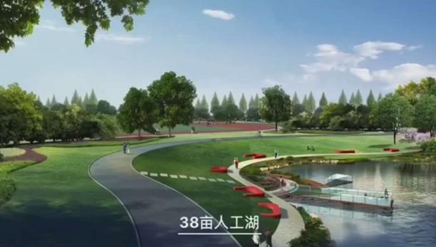 沛县最大的滨河湿地公园,江苏沛县新建公园