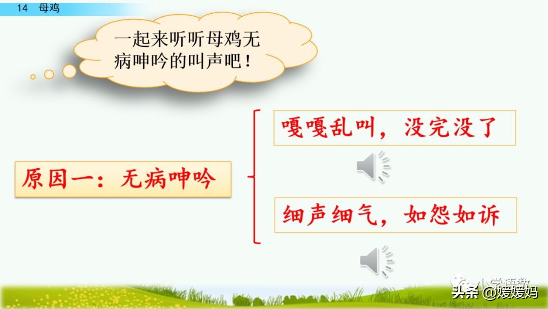 四年级下册第13课小练笔仿写母鸡,四年级下册14课母鸡的预习完整版
