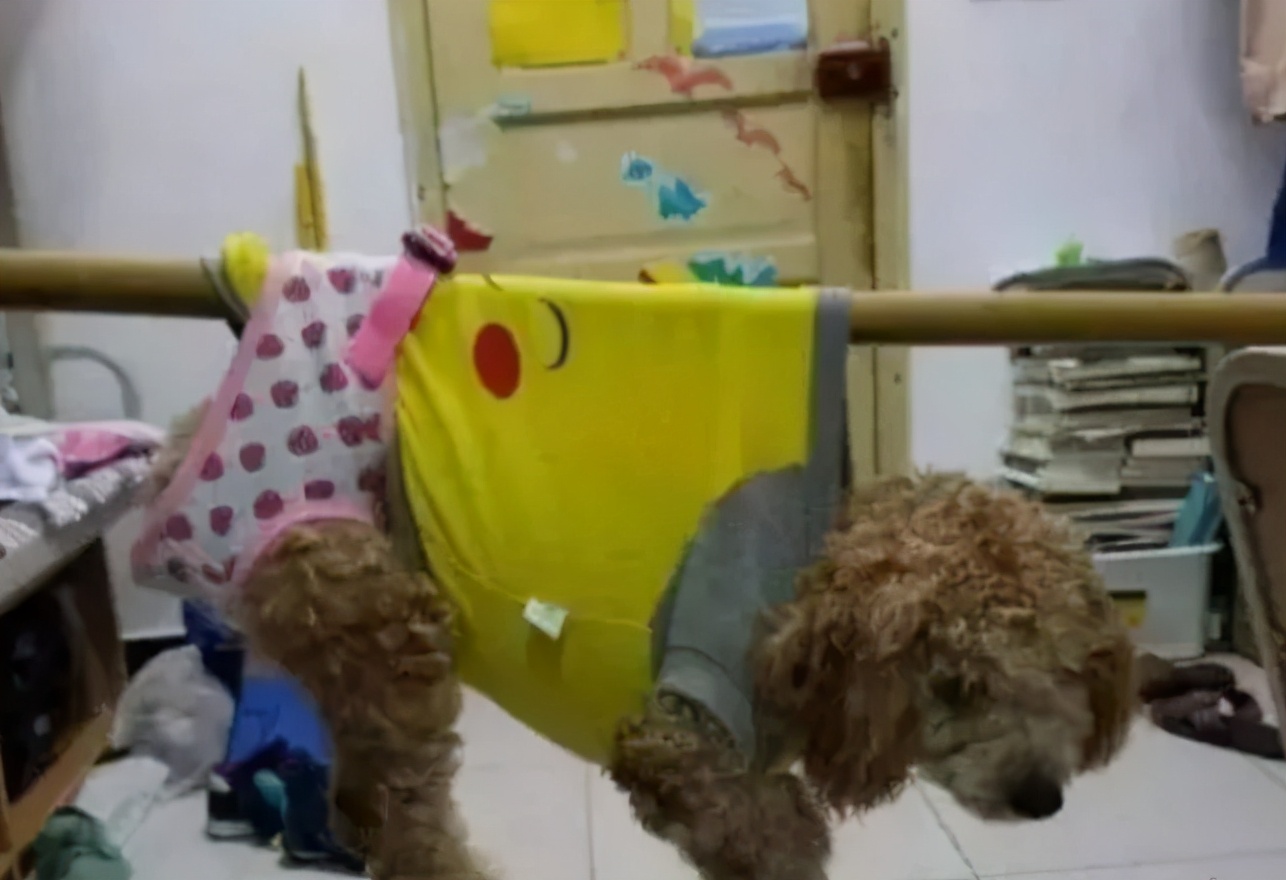 大学宿舍查违禁品展示,学生宿舍查到违禁物品没人承认