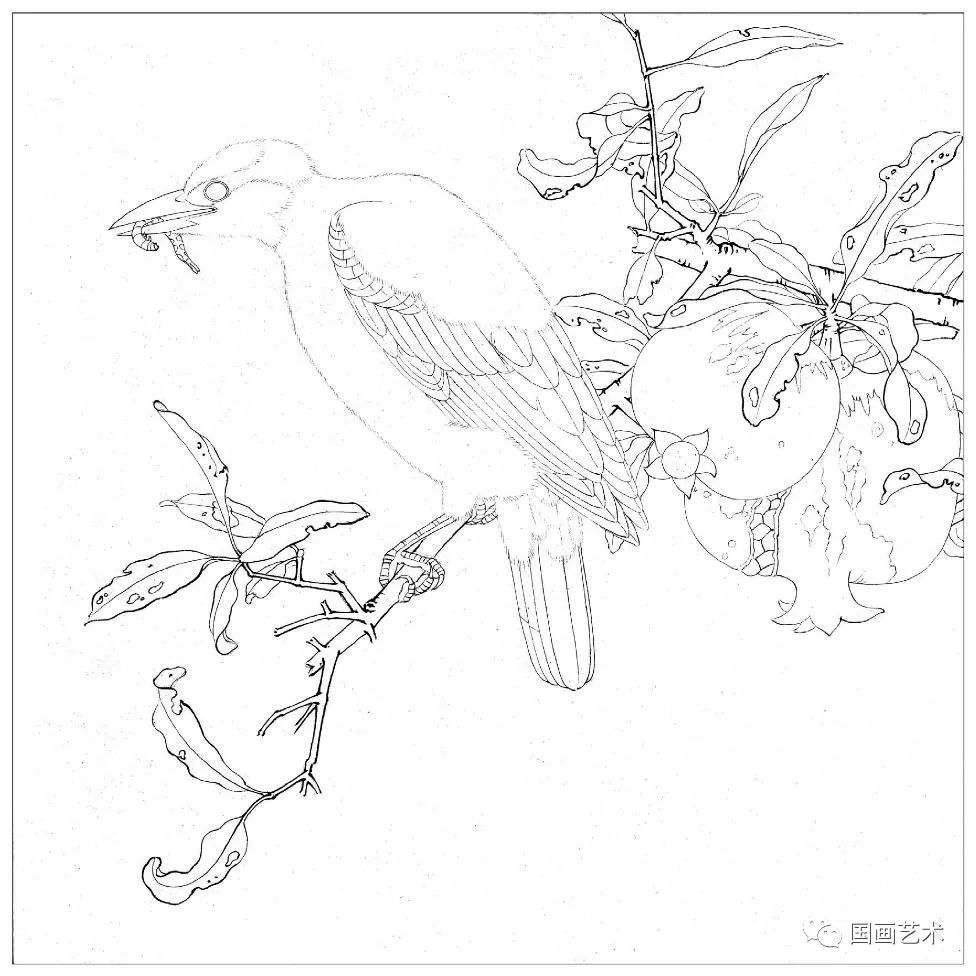 李晓明《柳枝黄鸟图》临摹解析