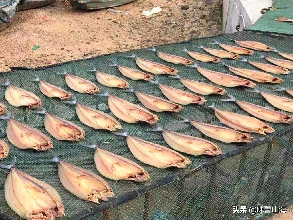 胶东晒鲅鱼干,正宗咸鲅鱼干晒制方法