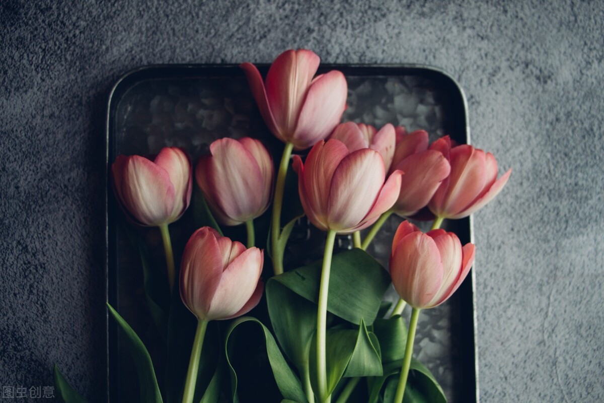 爱情的细节到底是什么,爱情里所谓的细节是什么