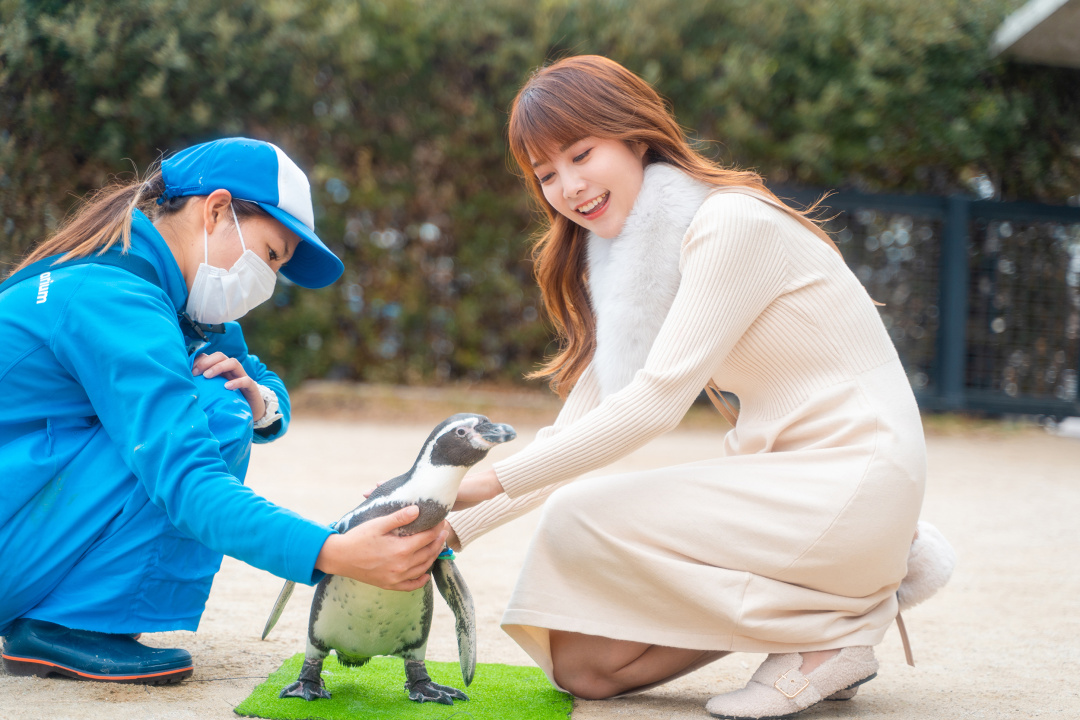 超级小众的日本旅游,日本九州游玩