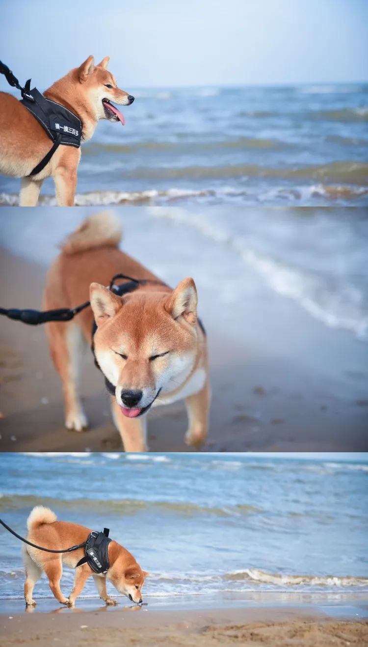 10个全球看海好地方推荐,谁说北方人看不到大海