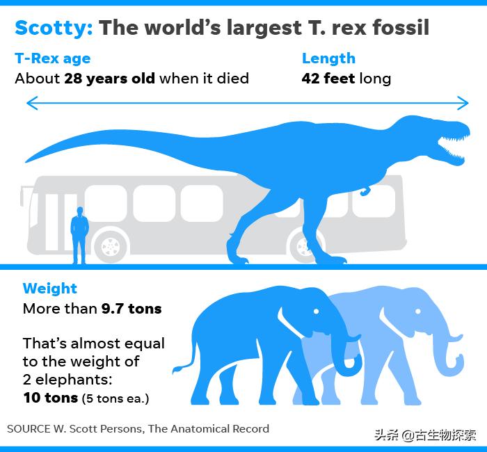 霸王龙最新研究报告,2024年霸王龙最新消息