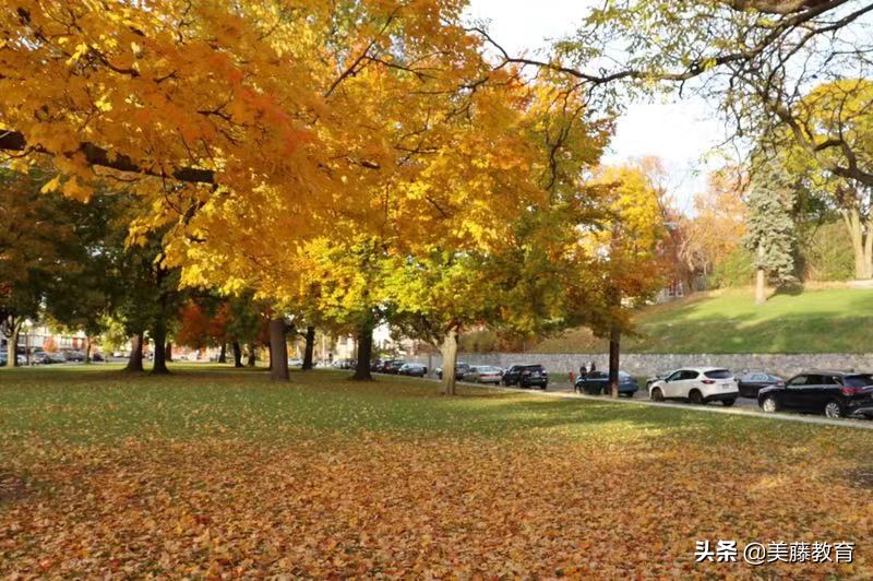 怎么样努力可以考上南大,南达科他州立大学录取