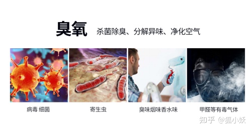 2023小天鹅洗衣机推荐,2021年小天鹅全自动洗衣机排行榜