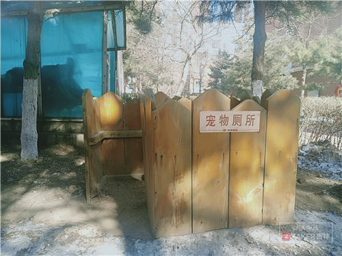 死了十多条狗两只鸡!长春亚泰桃花苑宠物死亡数量增加