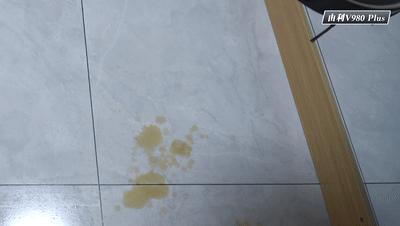 扫地机器人科沃斯和追觅测评,自动集尘扫地机器人测评