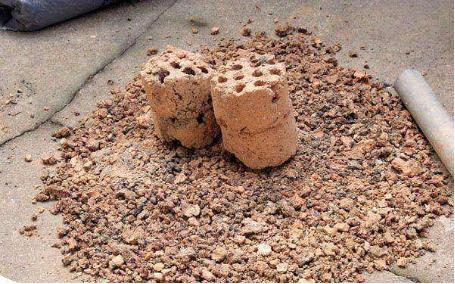 多肉璀璨小苗配土介质,养多肉需要哪些常备药