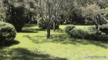 索尼dvd805e摄像机,索尼rx550e摄像机