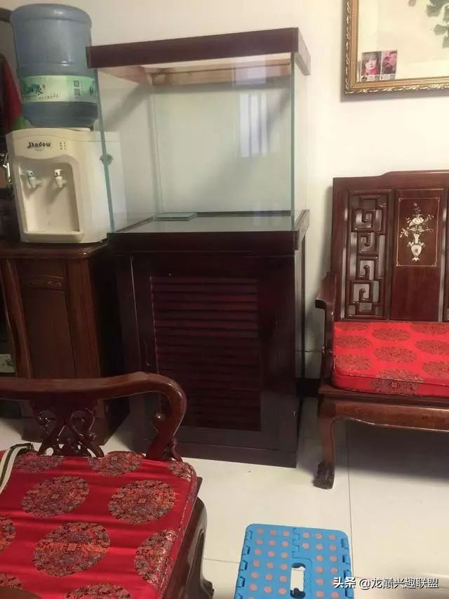 垃圾桶旁边的四方鱼缸，捡回去养了一缸金鱼，别说还挺不错