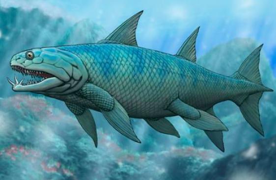 为什么哺乳动物体内构造相同,为什么哺乳动物都有睾丸