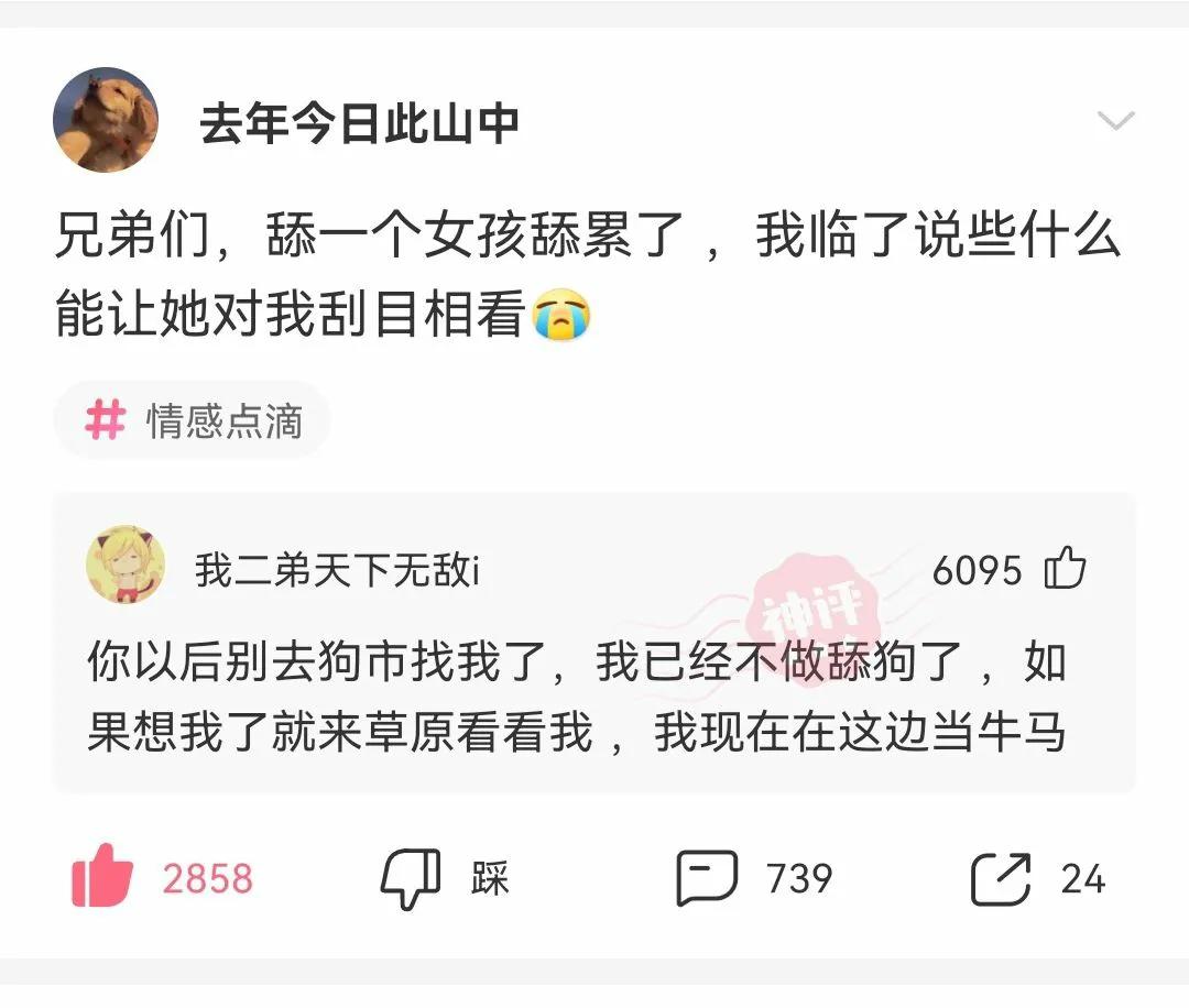 被蚊子咬搞笑视频笑死人,被蚊子咬的搞笑动画