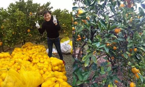 为钓鱼建房子,为了钓鱼在河边盖了房子