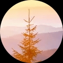 创业必须知道的7个方面,创业有两个特点分别是什么