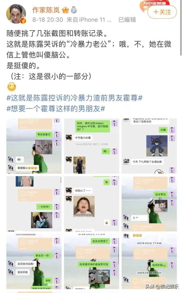 陈岚谈霍尊事件,陈岚对霍尊事件的看法