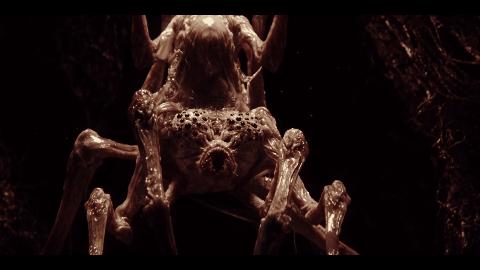 深入骨髓的恐怖|黑洞表面，一次痛苦绝望的炼狱之旅