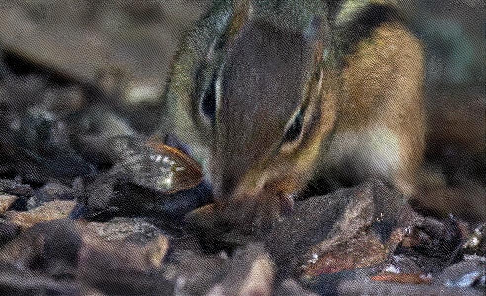 被真菌操控的“僵尸蝉”,腹腔被吃光仍热衷求偶,误食会被感染吗