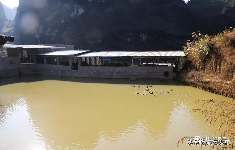 李华志：“猪师兄”变身“蛙司令”