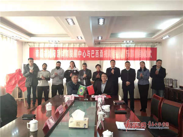 桑托斯签下贝利,巴西新星桑托斯