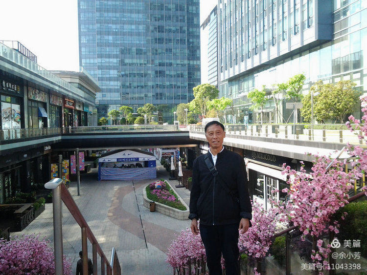 上海新国际博览中心延期,上海新国际博览中心在哪