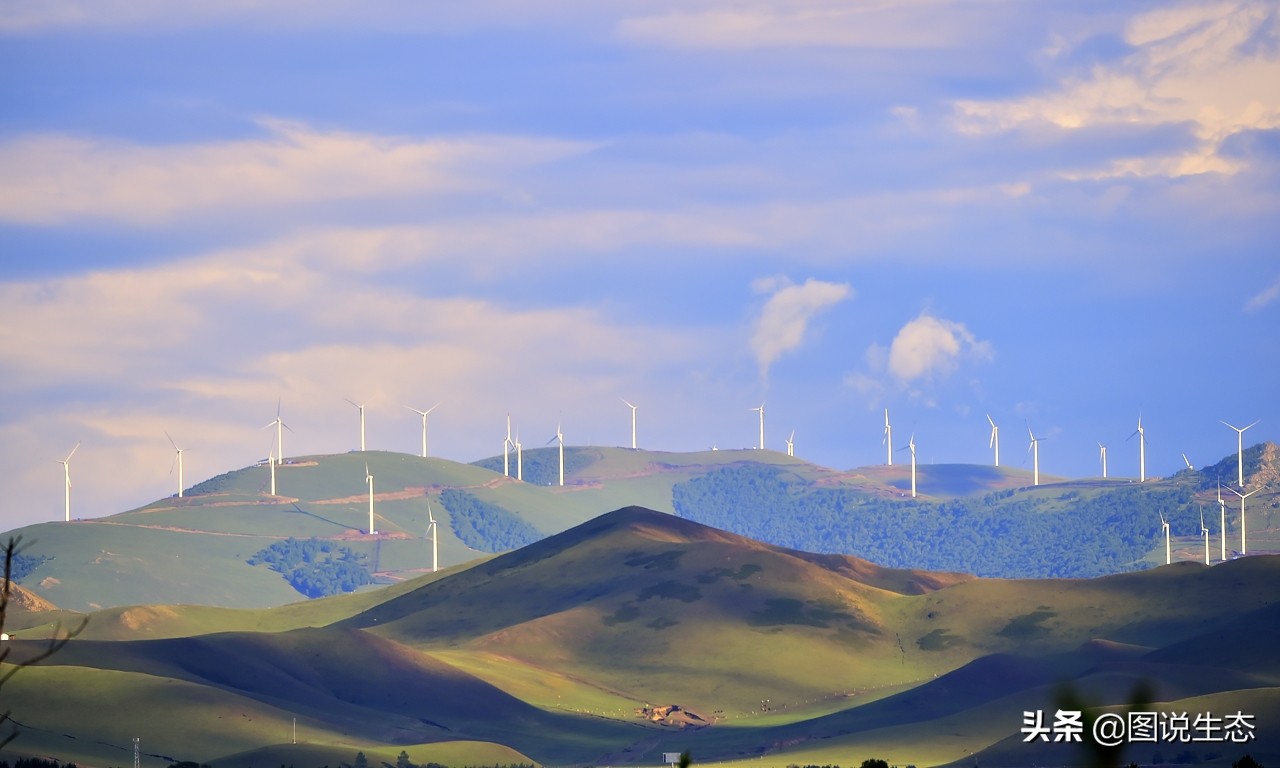 20年风雨治沙路，绿水青山秀丰宁