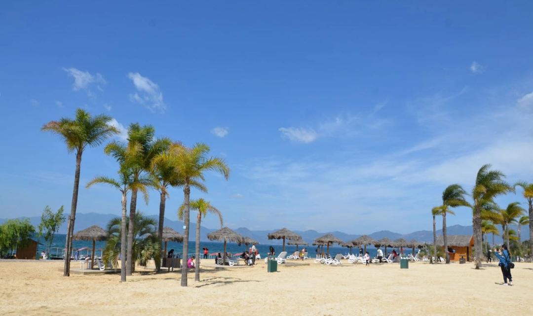 等一个人陪我去湛江,等一个人陪我去旅游