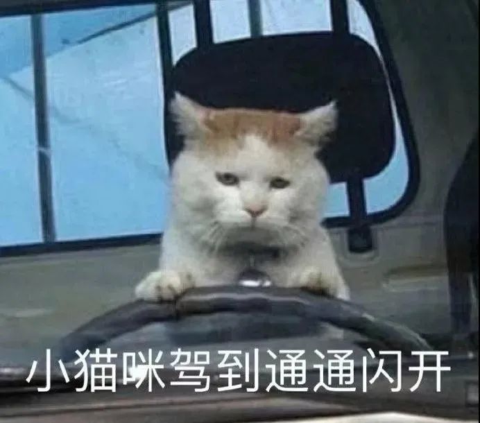 给点¥疏通关系，科目三稳过？这是诈骗！