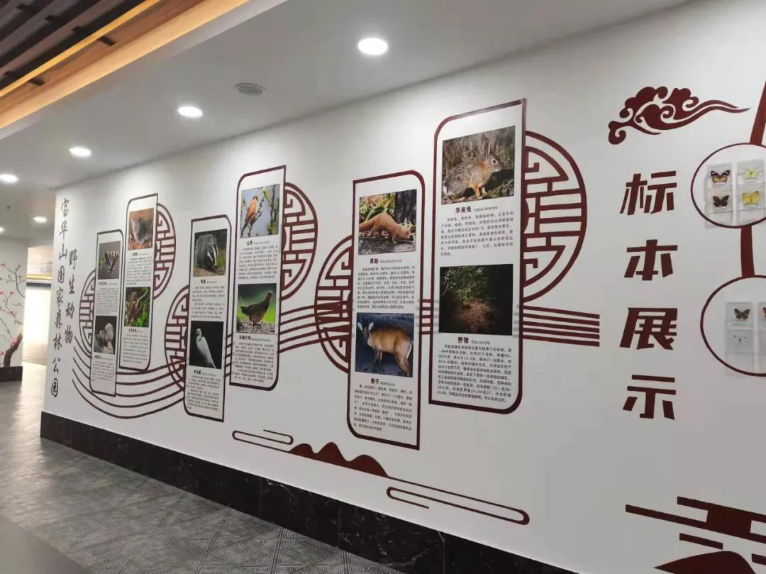 行走｜物华天宝宝华山