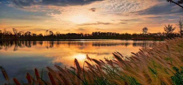 成都锦江绿道江家艺苑,成都锦城江家艺苑