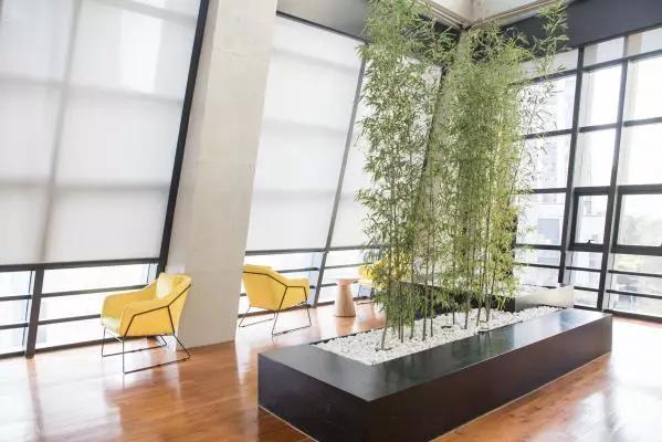 去深圳十大景点,到深圳必玩十大景区1天时间够吗