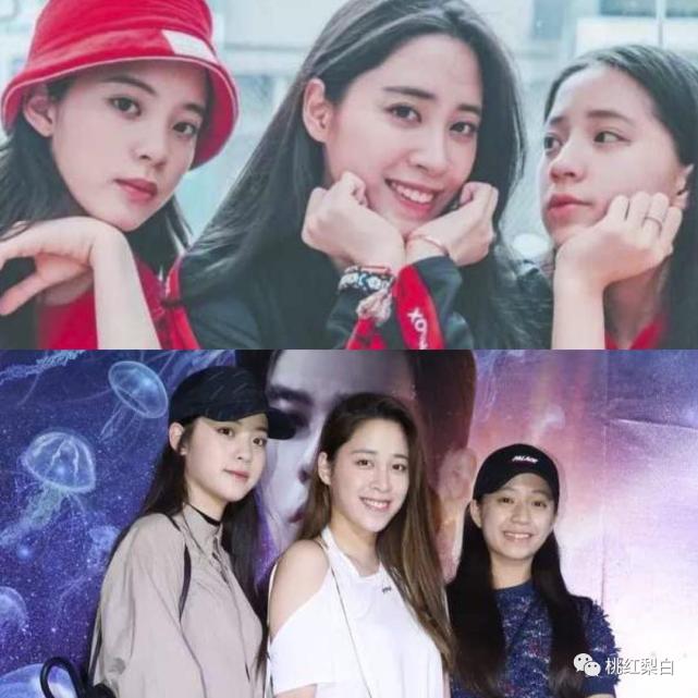 小时候丑小鸭变成白天鹅,小时候漂亮长大后变丑了的明星