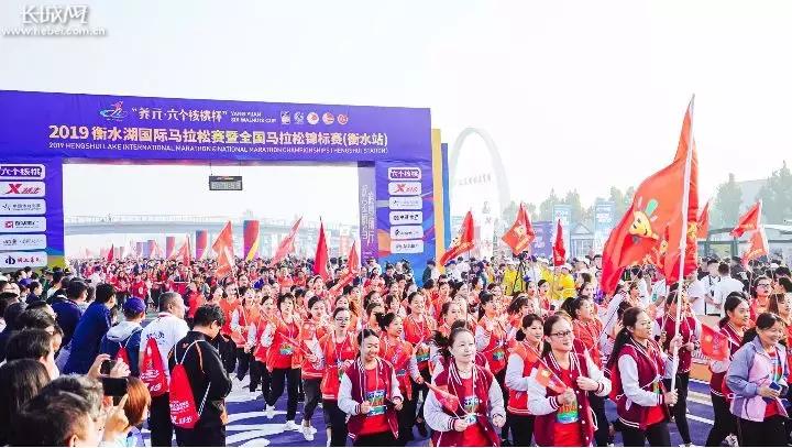 原来，“衡马”里还有这么多你不知道的“秘密”……