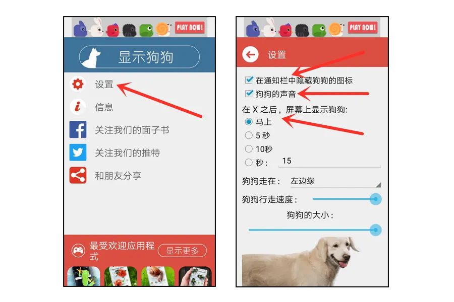 养一只金毛的所有步骤,教你在手机养宠物全部过程