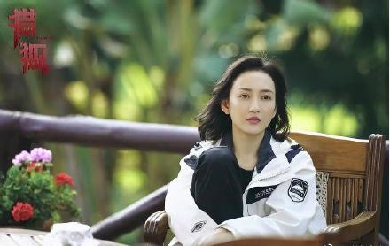 湖南卫视金鹰独播剧场电视剧,王凯参加金鹰表演什么节目