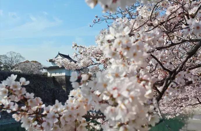 日本大阪旅游城市美食攻略,大阪的旅游景点拍照攻略