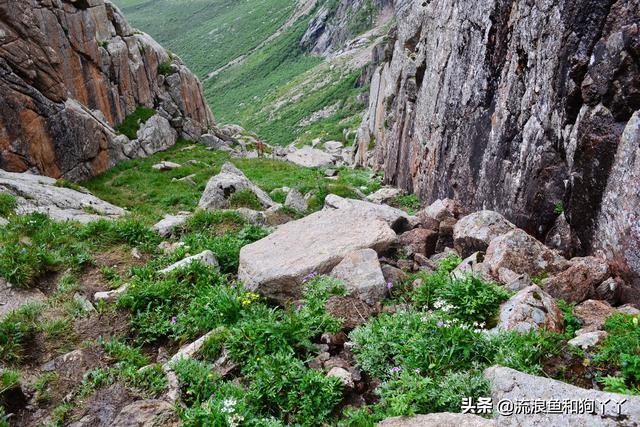 年保玉则现在开放了吗,年保玉则为啥被封