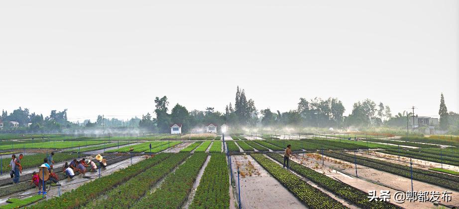 红光新城西安市,红光新城