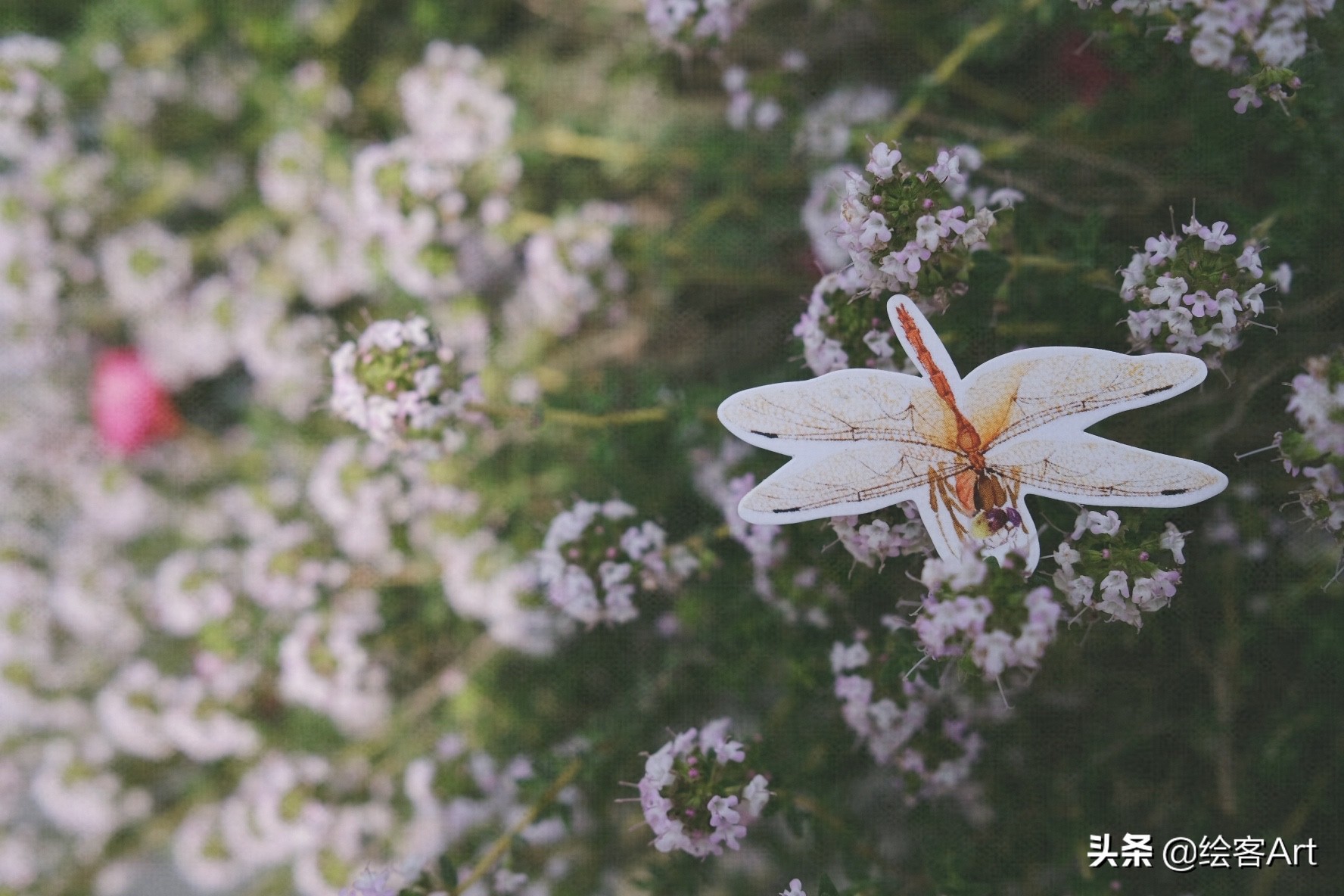 写意国画怎样配色,最好的小写意国画